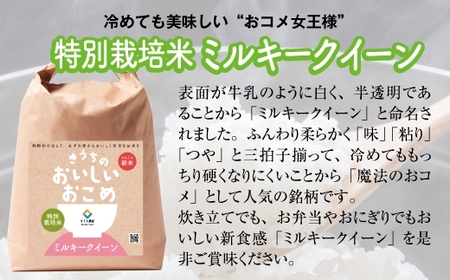 【定期便／3ヶ月 令和6年産】ミルキークイーン 合計30kg 農家直送 特別栽培米 [1034]