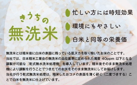 新米【令和6年産】稲敷市産 無洗米 にじのきらめき 20kg (5kg×4)【農家直送】｜先行予約 [1038]