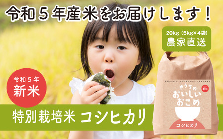 新米】 令和5年度産 新潟こしひかり 20kg(5kg×4袋) 特別栽培米 | www ...