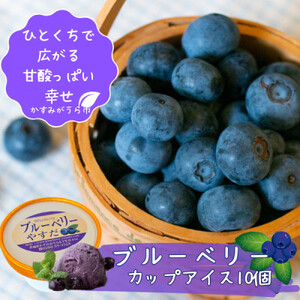 ブルーベリーやすだ』の濃厚ブルーベリーアイス 10個セット_菓子