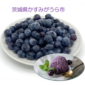 『ブルーベリーやすだ』の濃厚ブルーベリーアイス7個　＆　冷凍ブルーベリー500gのセット_菓子・スイーツ アイス・ジェラート    果物・フルーツ ブルーベリー  _【配送不可地域：離島】【1452635】