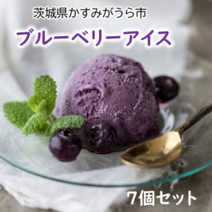 『ブルーベリーやすだ』の濃厚ブルーベリーアイス7個　＆　冷凍ブルーベリー500gのセット_菓子・スイーツ アイス・ジェラート    果物・フルーツ ブルーベリー  _【配送不可地域：離島】【1452635】