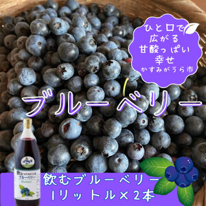 かすみがうら市産　飲むブルーベリー　1L×2本_飲料・ドリンク  果汁飲料 _【1481666】