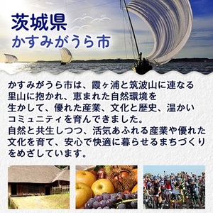 かすみ鴨モモ肉　1羽分×2パック(計2羽分)_鴨肉 かすみ鴨 モモ肉 かも_【配送不可地域：離島】【1563884】