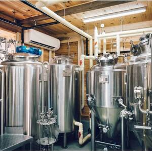 季節限定『霞ヶ浦ブルーベリーエール』3本セット_酒・アルコール ビール _【配送不可地域:離島】【1605253】