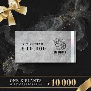 ONE-K PLANTS - ギフト券 - 10,000円_旅行券・チケット   _【1614151】