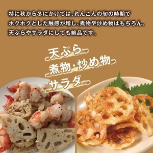 【鮮度抜群!茨城県かすみがうら市産】シャキシャキ蓮根 霞ヶ浦れんこん2kg 産地厳選【配送不可地域:離島】【1667481】