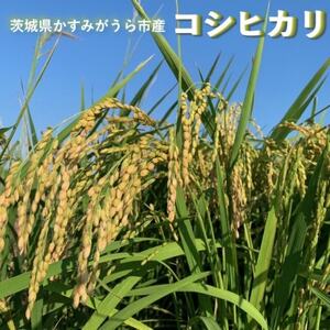 【毎月定期便】茨城県かすみがうら市産　精米　コシヒカリ5kg全3回【4076522】