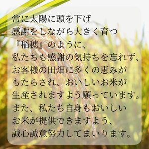極上ふるさと米　精米10kg【配送不可地域：離島・北海道・沖縄県】【1703566】