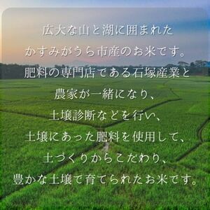 極上ふるさと米 精米1kg【配送不可地域:離島・北海道・沖縄県】【1703569】