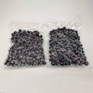 冷凍ブルーベリー1kg(500g×2パック)【配送不可地域：離島】【1108080