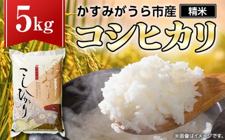 令和7年産かすみがうら市産コシヒカリ  精米  5kg_茨城県産 こしひかり 5kg 米 ご飯_【1268974】