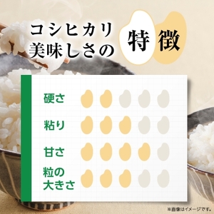 楽天市場】米 岡山県産 コシヒカリ 10kg 令和6年産 米 岡山 精米