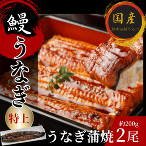 熟練された職人が作る「炭火焼き　国産うなぎ蒲焼」大サイズ約200g×2尾_魚介・海産物 うなぎ  ウナギ 鰻_【配送不可地域：離島】【1378495】