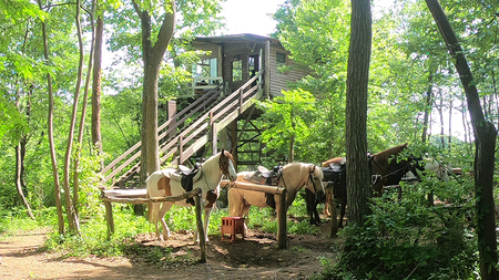 【経験者限定】 カウボーイ珈琲コース 平日プラン 乗馬 トレッキング 体験チケット  [DE001sa]