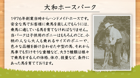 【大人気】 流鏑馬体験１回コース  乗馬 トレッキング 体験チケット   [DE009sa]