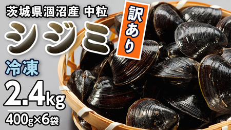 【訳あり】茨城県 涸沼産 中粒 冷凍 シジミ 2.4kg（400g×6袋） ヤマトシジミ しじみ 中粒 冷凍 味噌汁 スープ 魚貝類 貝 オルニチン コハク酸 小分け [EL003sa]