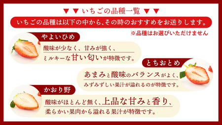 【2ヵ月 定期便】 完熟 いちご 2パック × 2回 合計 4パック （1P 約260g） [BC073sa]