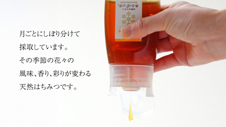 季節で移ろう 田舎 はちみつ ボトル 7種 セット [ピタッとボトルB7] 【茨城県共通返礼品／五霞町】 280g×7 ボトル  [BS009sa]