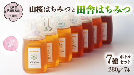 【桜川市限定】 山桜はちみつ と 田舎はちみつ ボトル 全 7種 セット [ピタッとボトルＢ7山桜] 【茨城県共通返礼品／五霞町】  [BS011sa]