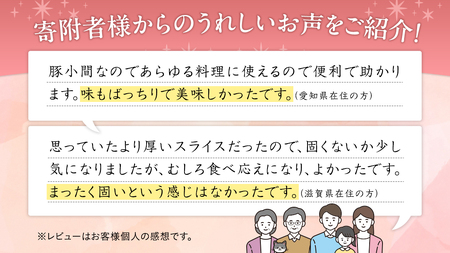 【6ヵ月 定期便】 美明豚 小間切れ 1kg×6回 合計6kg (茨城県共通返礼品 行方市)  [CV017sa]