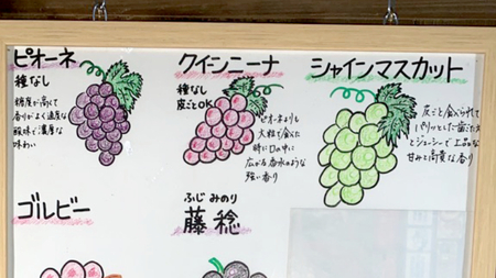 《 種なし 》 シャインマスカット ・ クイーンニーナ ・ ピオーネ ・ 秋月 約 4kg (茨城県共通返礼品 かすみがうら市) ぶどう マスカット 梨 [DH013sa]