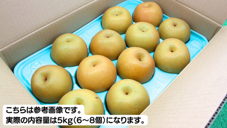 【 先行予約 】 《 秀品 》 にっこり梨 約5kg 6玉～8玉 （茨城県共通返礼品／かすみがうら市） 鈴木農園 産地直送 フルーツ 甘い 直送 茨城 限定 にっこり [ED001sa]