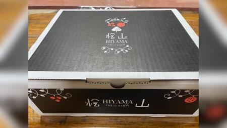 【2026年9月上旬発送開始】 茨城県産 「 シャインマスカット １房 」と「旬の 梨 」 詰め合わせ 約 3kg 【茨城県共通返礼品／常陸太田市】 [DU011sa]