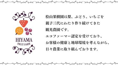 【2026年9月上旬発送開始】 茨城県産 「 シャインマスカット １房 」と「旬の 梨 」 詰め合わせ 約 3kg 【茨城県共通返礼品／常陸太田市】 [DU011sa]
