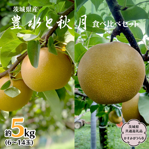 梨 豊水 ・ 秋月 食べ比べ セット 約 5kg 6玉～14玉 (茨城県共通返礼品 かすみがうら市) [DH005sa]