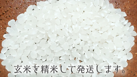 令和8年産 米 コシヒカリ 精米 10kg (茨城県共通返礼品 かすみがうら市) [DH020sa]