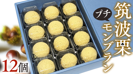 筑波 栗 の プチ モンブラン 約20g × 12個 [EK011sa]
