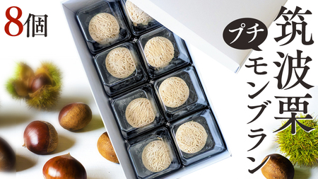 筑波 栗 の プチ モンブラン 約20g × 8個 [EK012sa]