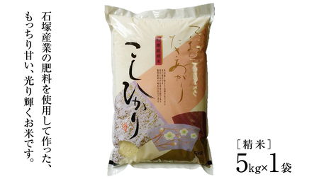 【 令和6年産 】 コシヒカリ 精米 5kg ( 5kg × 1袋 ) (茨城県共通返礼品 かすみがうら市) 米 ごはん もっちり 甘い コメ お米 白米 [EX001sa]