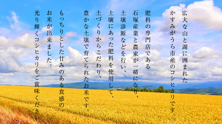 【 令和6年産 】 コシヒカリ 精米 5kg ( 5kg × 1袋 ) (茨城県共通返礼品 かすみがうら市) 米 ごはん もっちり 甘い コメ お米 白米 [EX001sa]