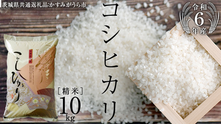 【 令和6年産 】 コシヒカリ 精米 10kg ( 10kg × 1袋 ) (茨城県共通返礼品 かすみがうら市) 米 ごはん もっちり 甘い コメ お米 白米 [EX002sa]