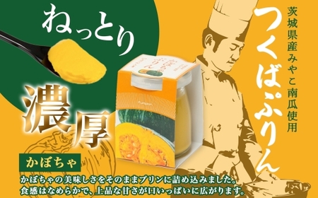 つくばぷりん かぼちゃぷりん 6個 [EW009sa]