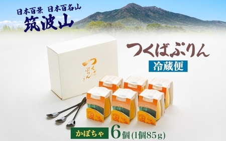 つくばぷりん かぼちゃぷりん 6個 [EW009sa]