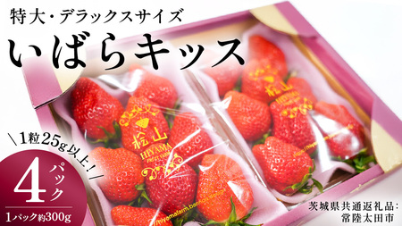 【 2026年 先行予約 】 いばらキッス ( 約300g × 4パック ) 特大 ・ デラックスサイズ （茨城県共通返礼品／常陸太田市）  [DY021sa]