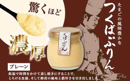 無地熨斗 つくばぷりん プレーン ＆ 抹茶ぷりん 各3個 計6個  [EW026sa]