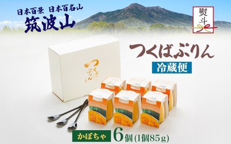 無地熨斗 つくばぷりん かぼちゃぷりん 6個 [EW031sa]