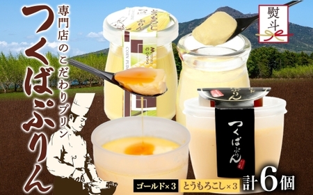 無地熨斗 ゴールドぷりん ＆ とうもろこしぷりん 各3個 計6個  [EW036sa]