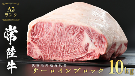 常陸牛 A5 等級 サーロイン ブロック 10kg ( 茨城県共通返礼品 )   [CD048sa]