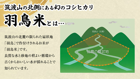 【 令和6年産 新米 】 茨城県産 コシヒカリ 「 羽鳥米 」 3kg 米 お米 コメ 白米 ごはん 精米 国産 茨城県 桜川市 限定 期間限定 数量限定 幻の米 [AX010sa]