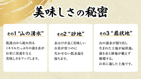 【 令和6年産 新米 】 茨城県産 コシヒカリ 「 羽鳥米 」 3kg 米 お米 コメ 白米 ごはん 精米 国産 茨城県 桜川市 限定 期間限定 数量限定 幻の米 [AX010sa]