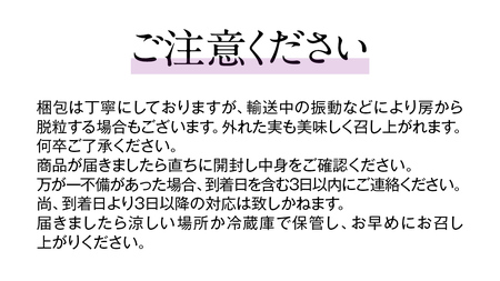 【2025年9月上旬発送開始】 巨峰 2kg ( 種あり 5～8房 )( 茨城県共通返礼品 石岡市 ) 数量限定 ぶどう ブドウ 果物 フルーツ 旬 人気 産直 採れたて 新鮮 国産 産地直送 [FB002sa]