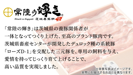 茨城県銘柄豚 「常陸の輝き」 切り落とし 1kg ( 500g × 2 パック ) (茨城県共通返礼品) 小分け ブランド豚 三元豚 豚肉 肉 冷凍 [FA001sa]