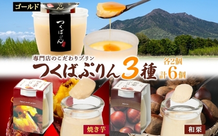 ゴールドぷりん ＆ 焼き芋ぷりん ＆ 和栗ぷりん 各2個 計6個 [EW022sa]