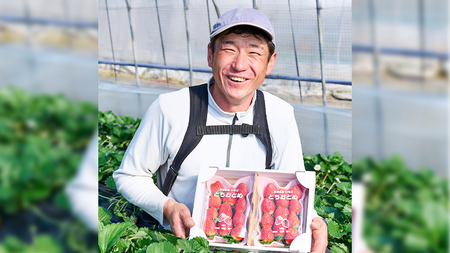 【12/15までの申込で年内にお届け！】完熟 とちおとめ 約280g×2パック 年内お届け 国産 いちご イチゴ 苺 果物 フルーツ 茨城県産 KEK[BC079sa]