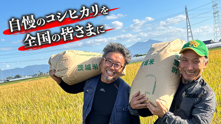 【令和6年新米】茨城県産 コシヒカリ 10kg 令和6年産 新米 単一原料米 精米 米 お米 コメ 白米 こしひかり 茨城県 [BC083sa]